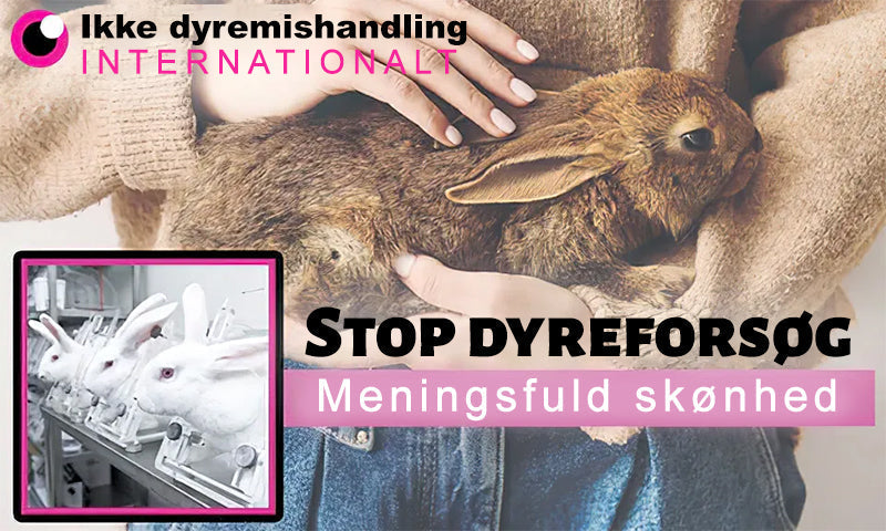 Apivita™ Bikemadsmiddel Behandling Creme - Farvel til hudimperfektioner – Hej til glattere, klarere hud!