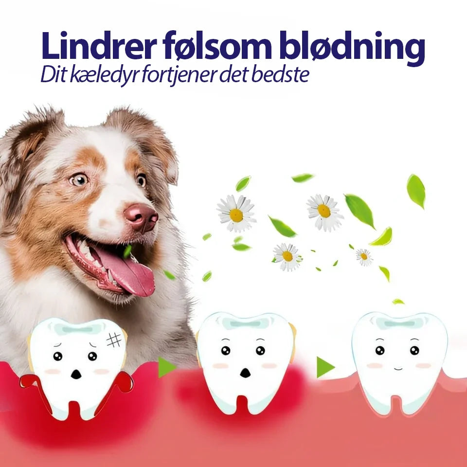 DentiPet V2 Pro™ | Sig farvel til dårlig ånde og tandsten – få en sundere mundhygiejne til din pelsede ven! 🐾