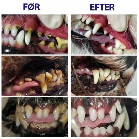 DentiPet V2 Pro™ | Sig farvel til dårlig ånde og tandsten – få en sundere mundhygiejne til din pelsede ven! 🐾