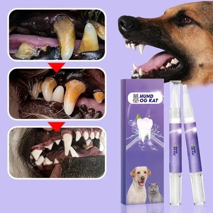 DentiPet V2 Pro™ | Sig farvel til dårlig ånde og tandsten – få en sundere mundhygiejne til din pelsede ven! 🐾