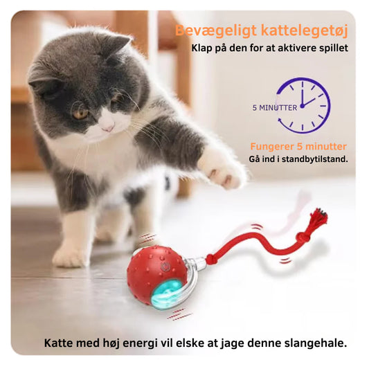 KæledyrSmart Bold 2.0 - Hold din kat underholdt i timevis!