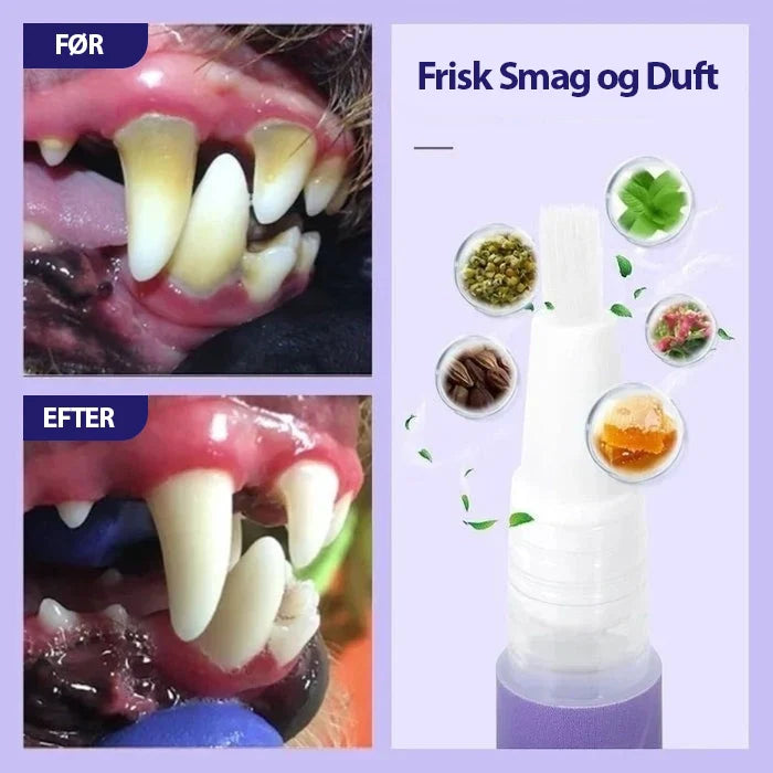 DentiPet V2 Pro™ | Sig farvel til dårlig ånde og tandsten – få en sundere mundhygiejne til din pelsede ven! 🐾