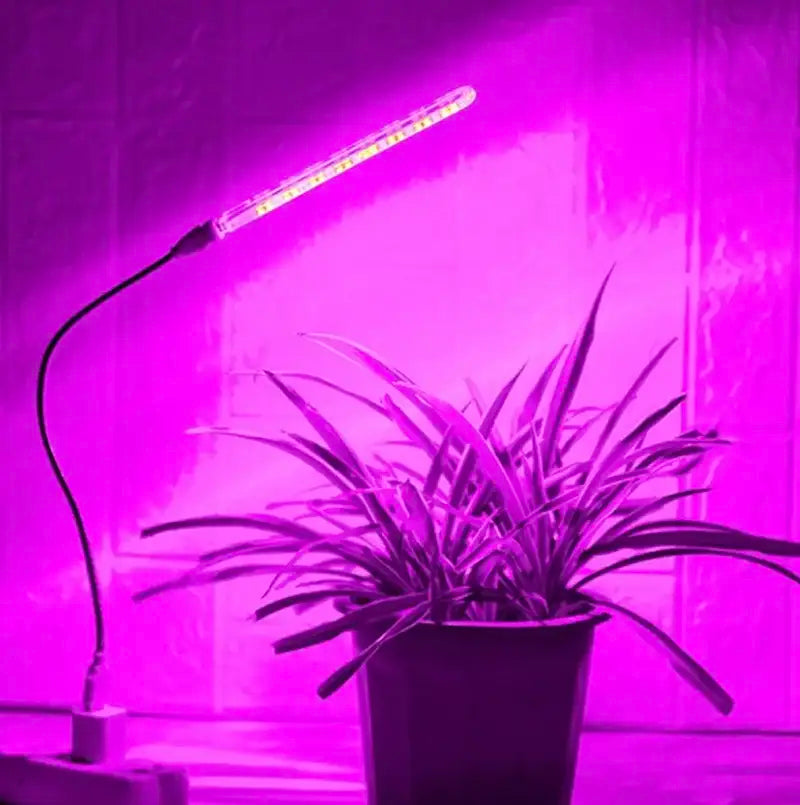VitalRay™ | Bring Solen Indendørs—Lad Dine Planter Trives Hele Året!