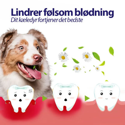 DentiPet V2 Pro™ | Sig farvel til dårlig ånde og tandsten – få en sundere mundhygiejne til din pelsede ven! 🐾
