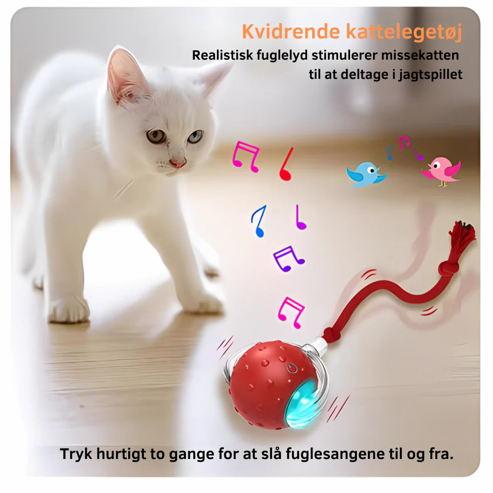 KæledyrSmart Bold 2.0 - Hold din kat underholdt i timevis!