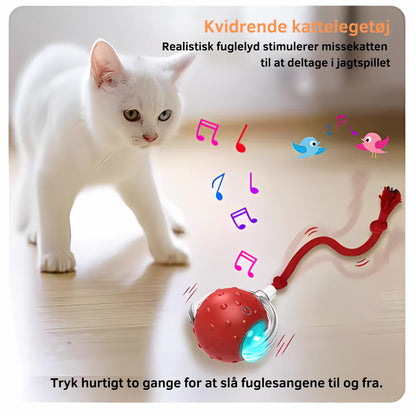 KæledyrSmart Bold 2.0 - Hold din kat underholdt i timevis!